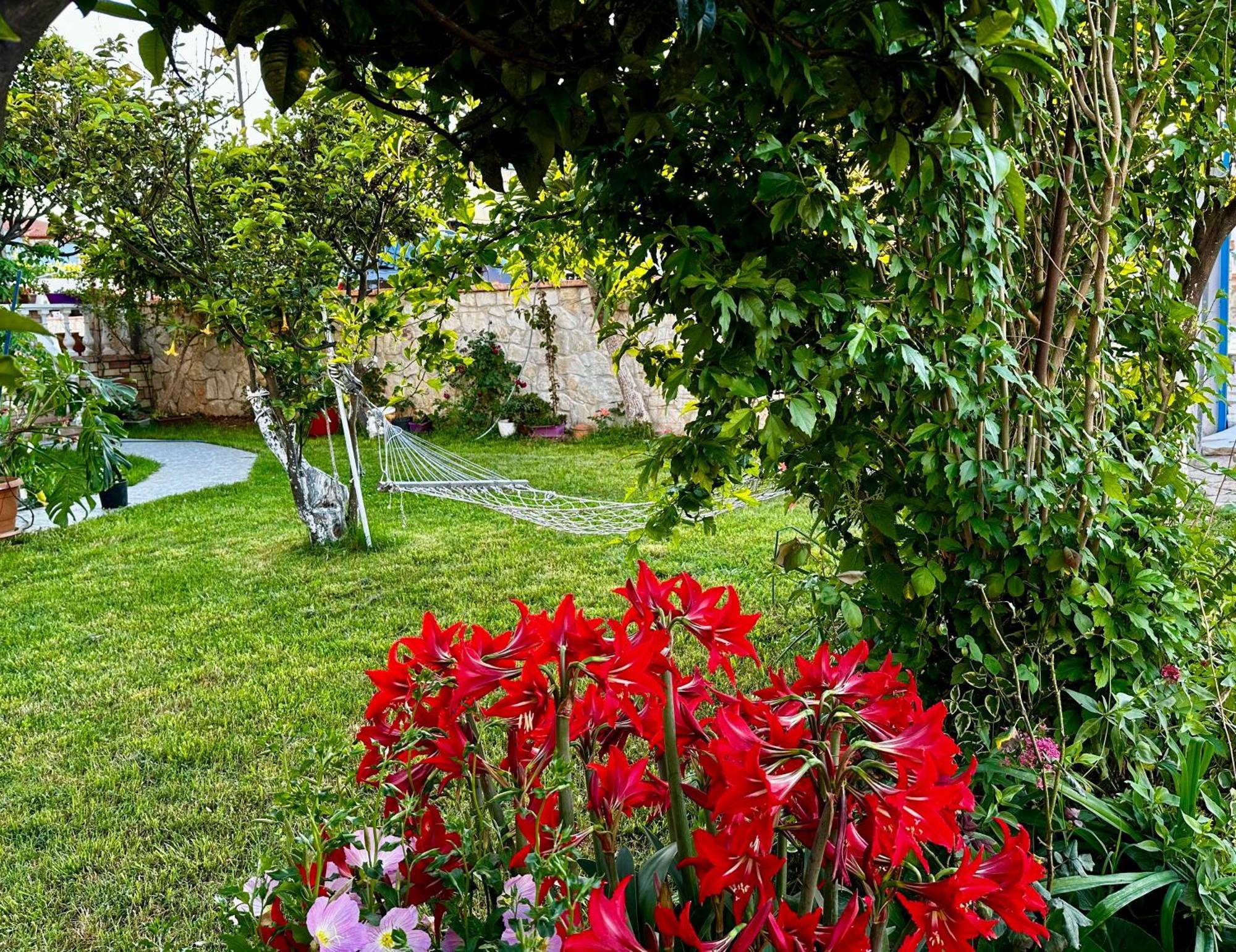 Vila Laura Εξαμίλιο Εξωτερικό φωτογραφία